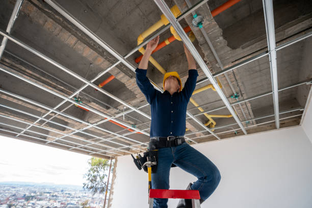 Best Plumbing Services Near Me  in Marble Hill, MO